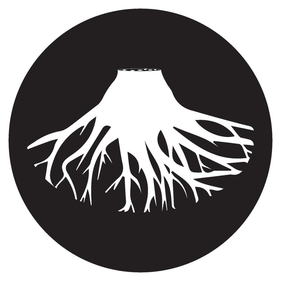 tree root icon vector