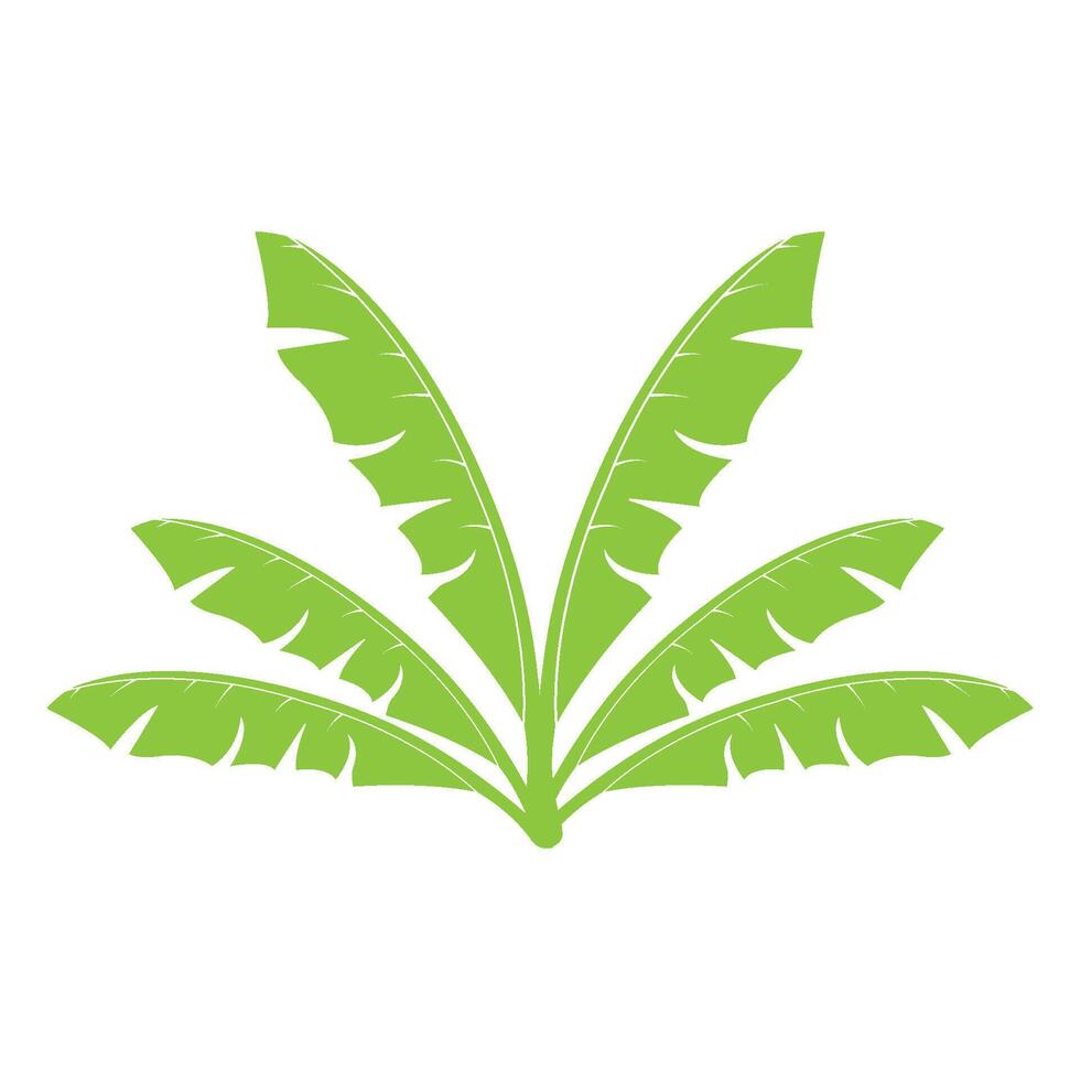 banana leaf design vector