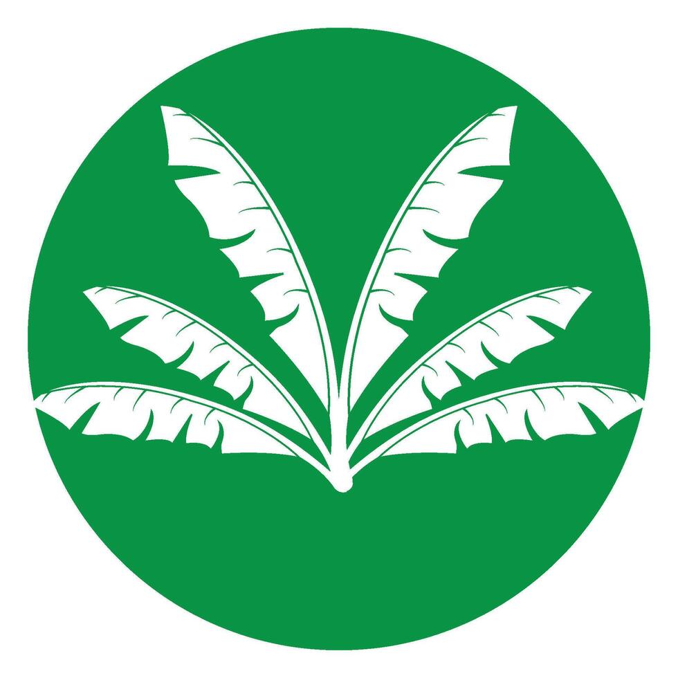 banana leaf design vector