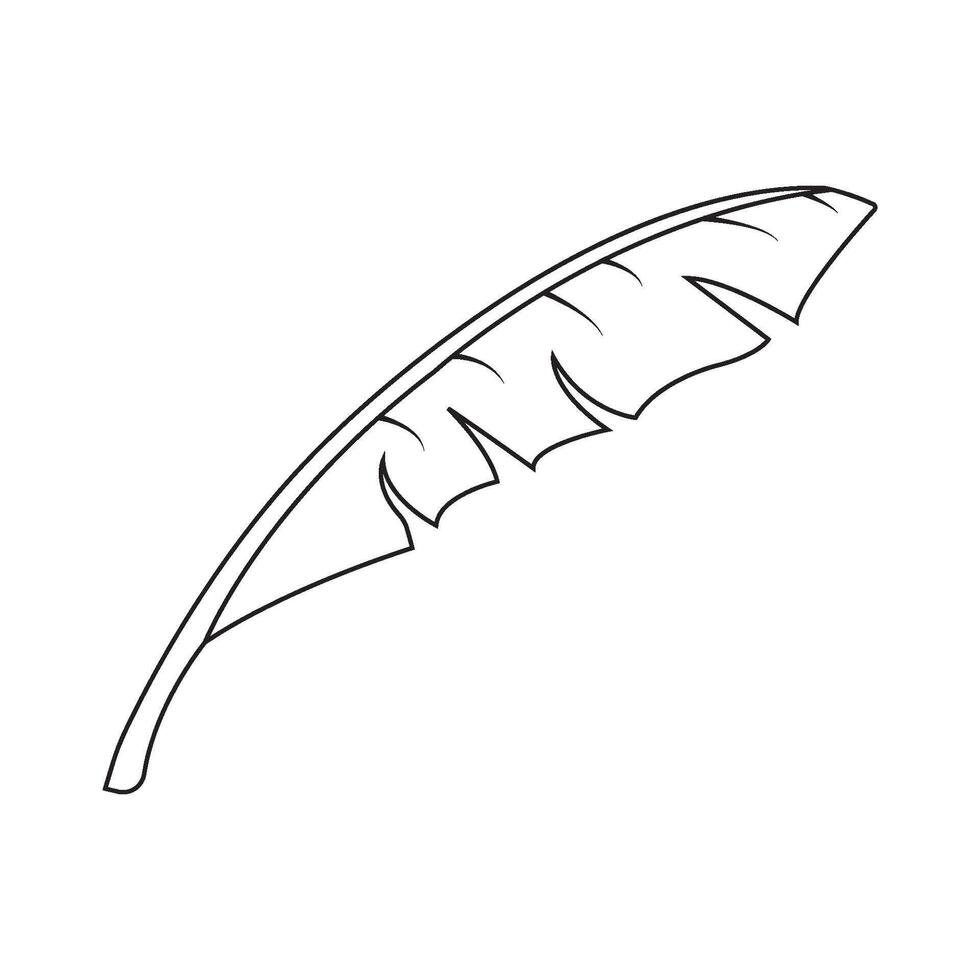 banana leaf design vector