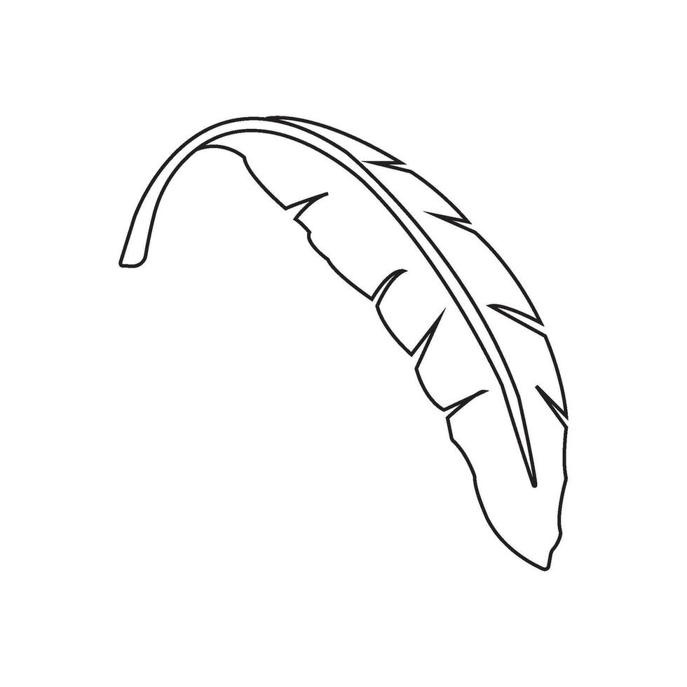 banana leaf design vector