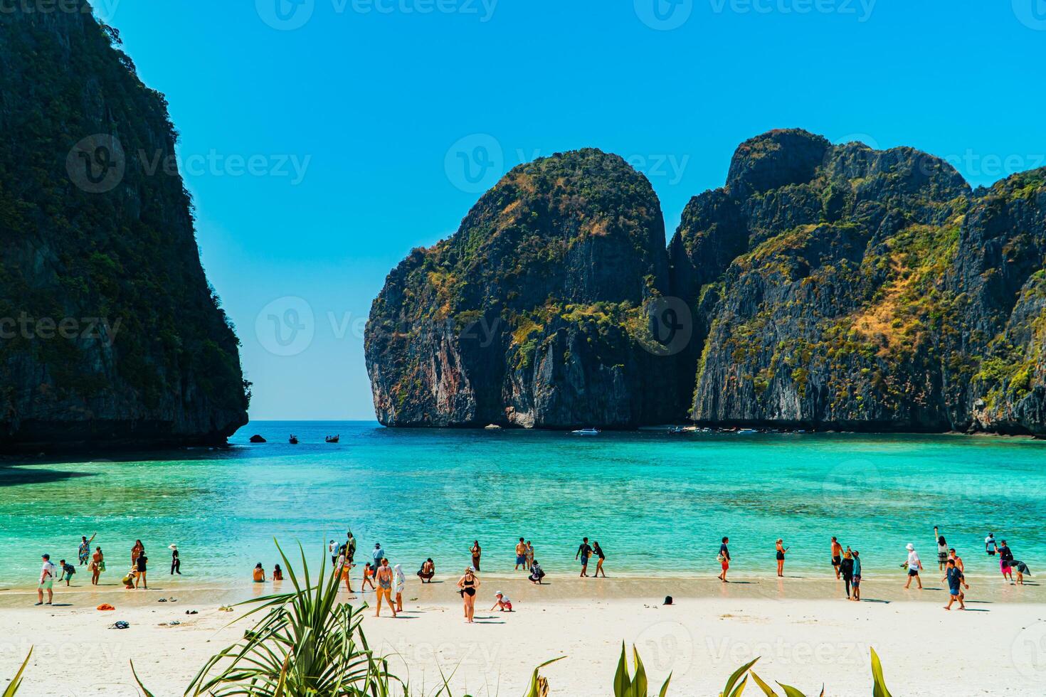 Beautiful natural view of Maya Bay during the day. Popular tourist destination on Phi-phi Island, Thailand during high season with clear sea water, white sand and very iconic high cliffs photo