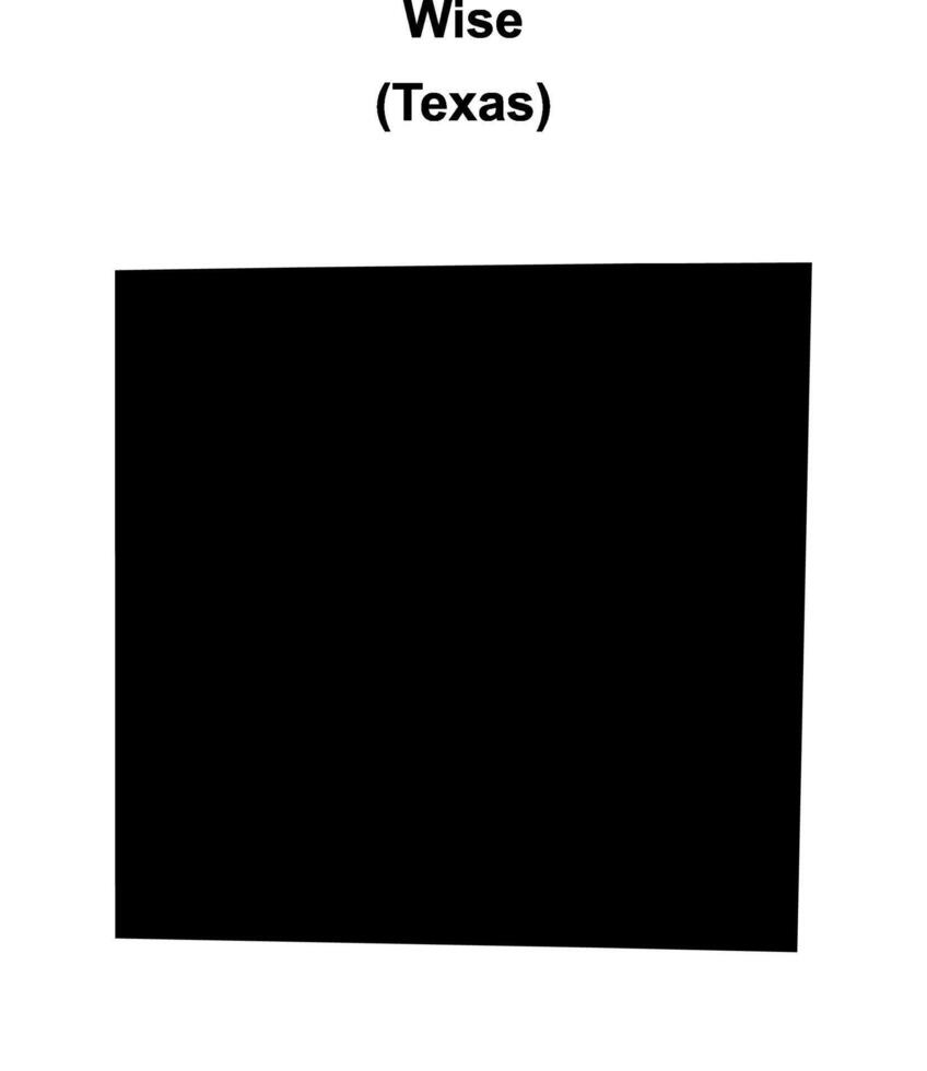 Wise County, Texas blank outline map vector