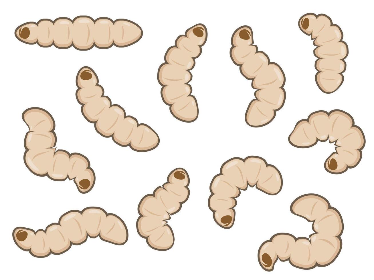 Hand drawn black soldier fly maggots worms illustration vector