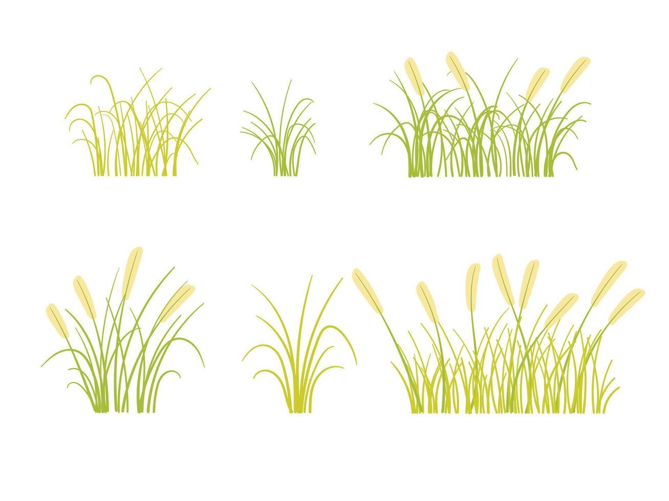 Hand drawn organic grass field element 47450871 Vector Art at Vecteezy