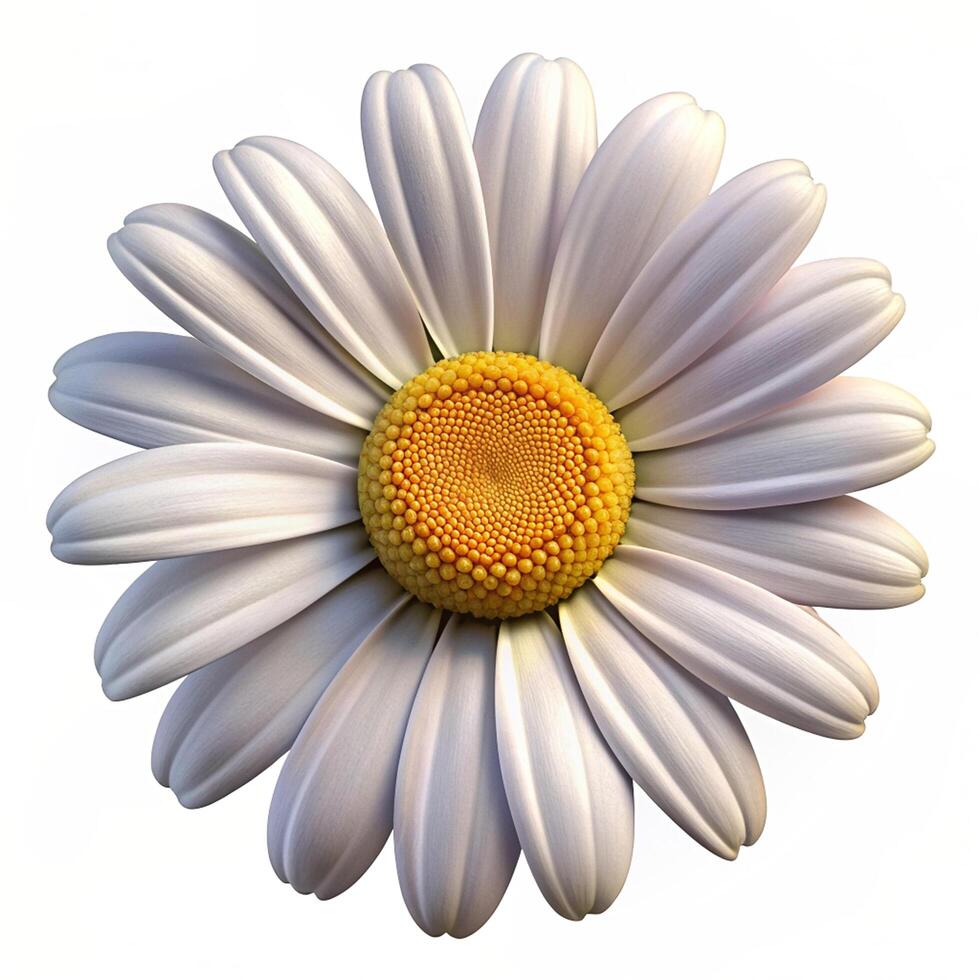 Realistic High Quality Beautiful Flower Isolated photo
