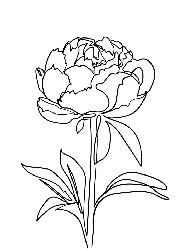 Abstract peony flower in one line art drawing style. vector