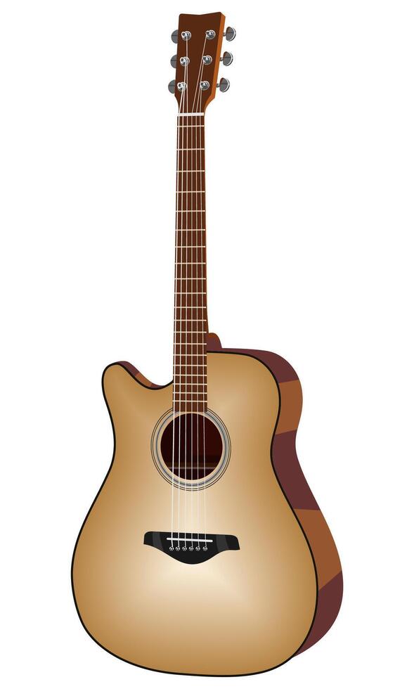 various types of musical equipment vector
