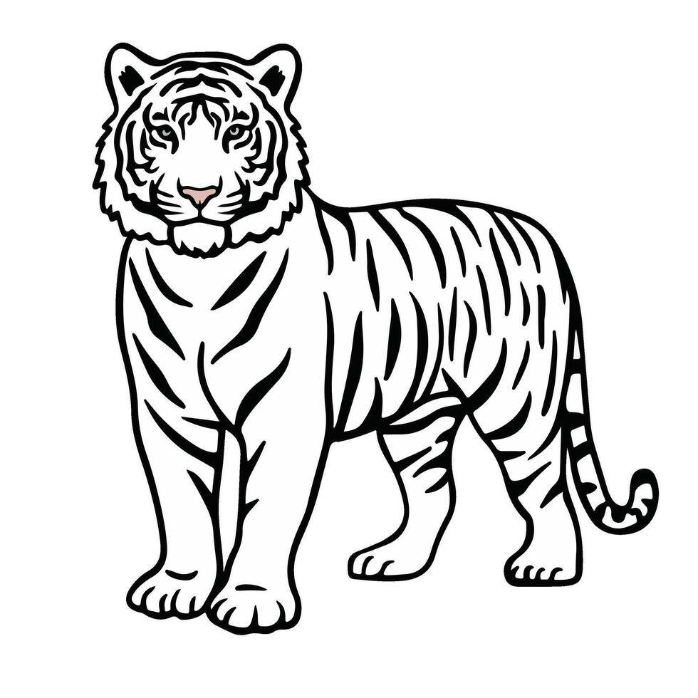 Hand drawn tiger outline illustration vector
