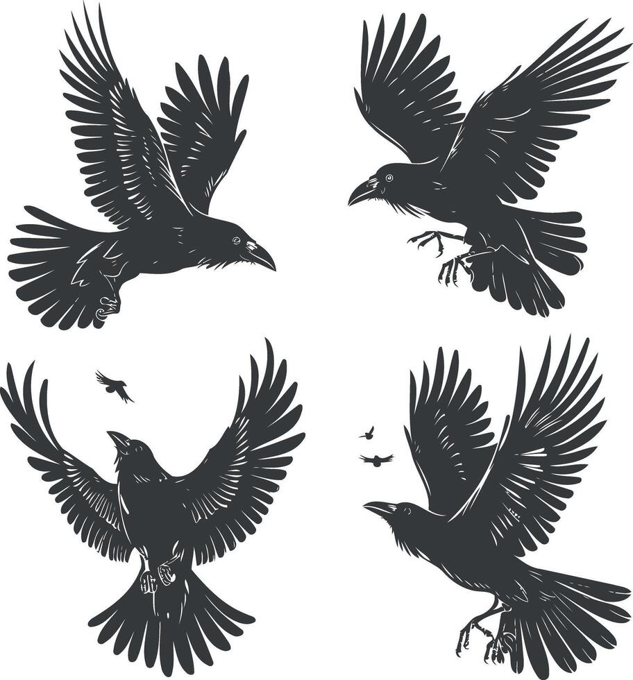 Birds Collection Isolated on White Background vector