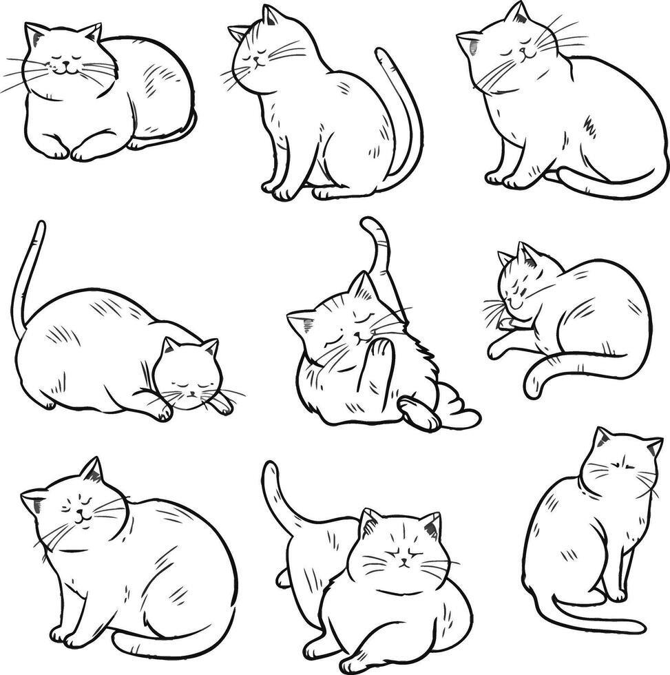 Cartoon Cat Sketches on White Background in Doodle Style vector