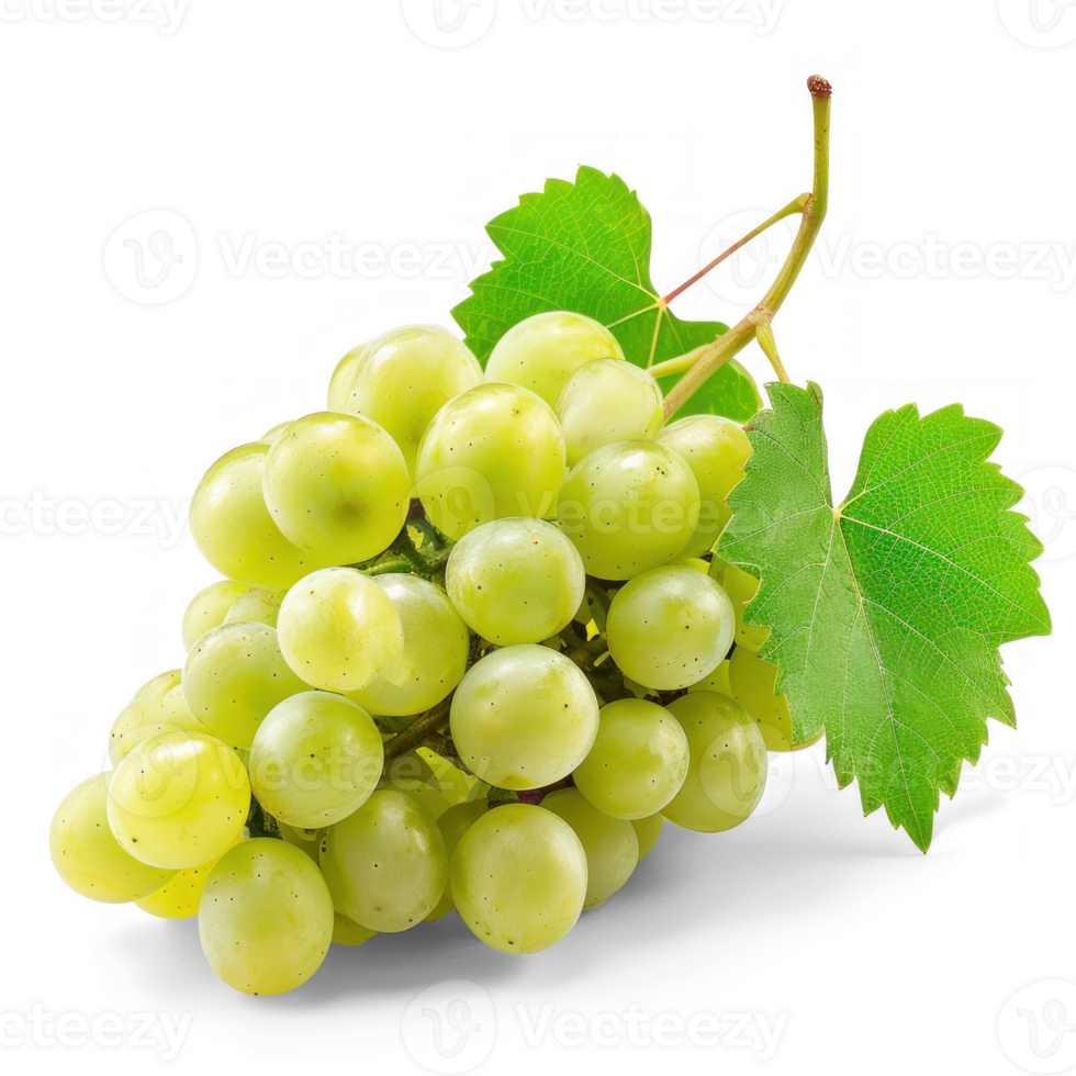 grapes on transparent background png
