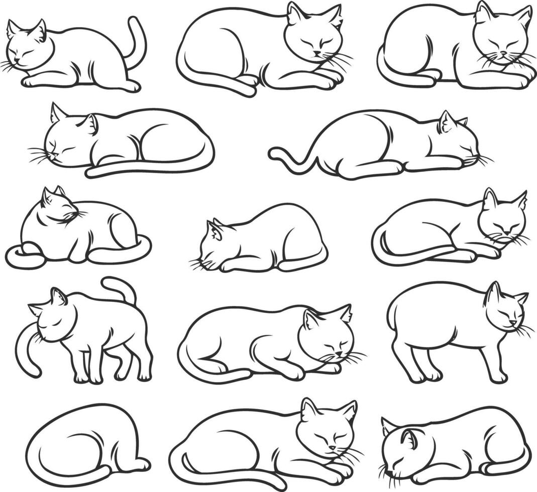 a set of different cats in different poses vector