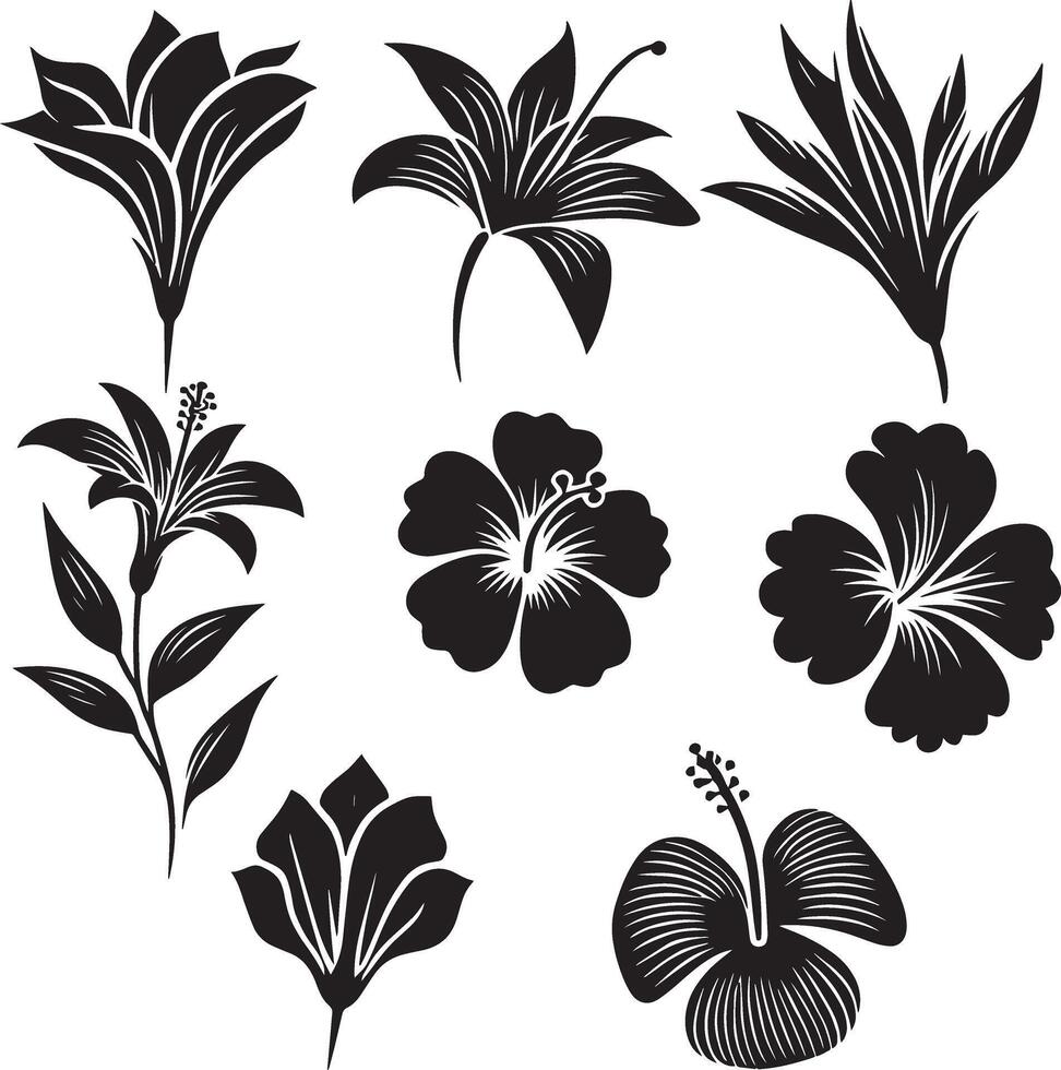 A Collection of black outline tropical flower silhouettes vector