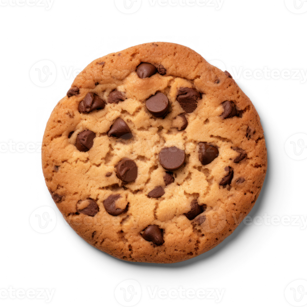 chocolate chip cookie on transparent background png