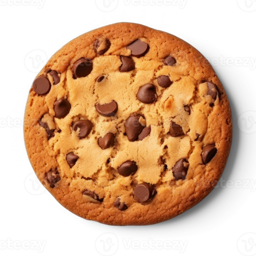 chocolate chip cookie on a transparent background png