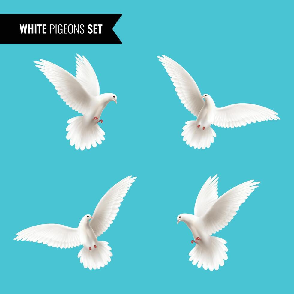 White dove transparent set with peace symbols realistic isolated illustration vector