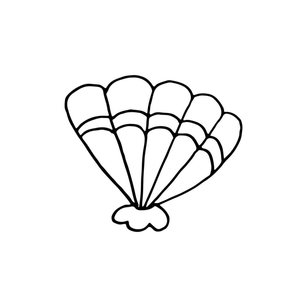 Shell. External skeleton of a mollusk. Doodle. vector
