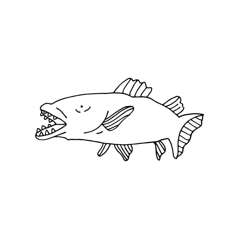 Toothfish, an aquatic vertebrate. Sea World. vector