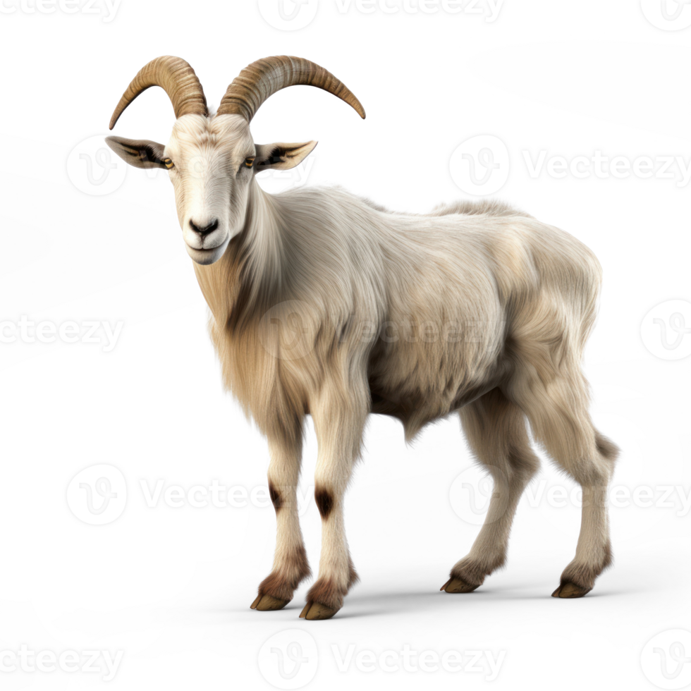 a goat with long horns standing on a transparent background png