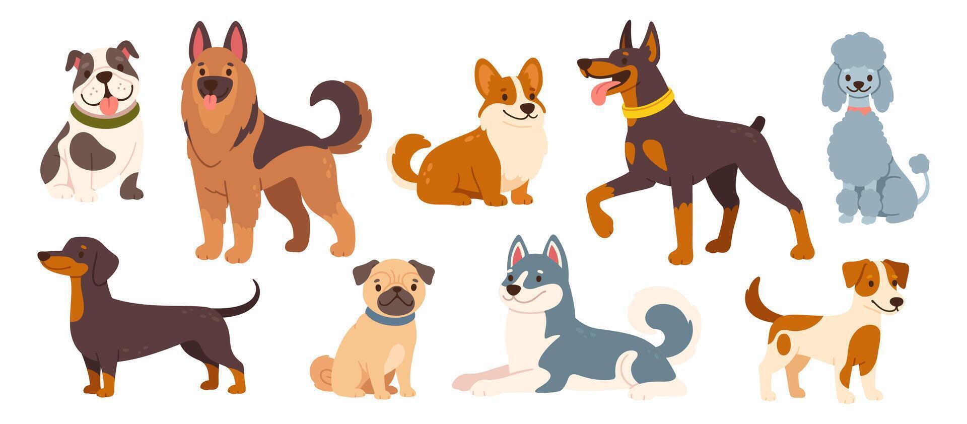 Cute dogs and puppies. Cartoon different breeds pet. Funny doggy characters. Happy friendly canine animals. Pug, corgi, poodle, husky and poodle. set vector