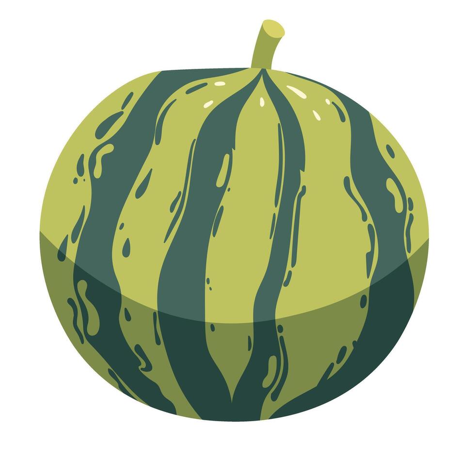 Watermelon clipart. Juicy and bright summer fruit. vector