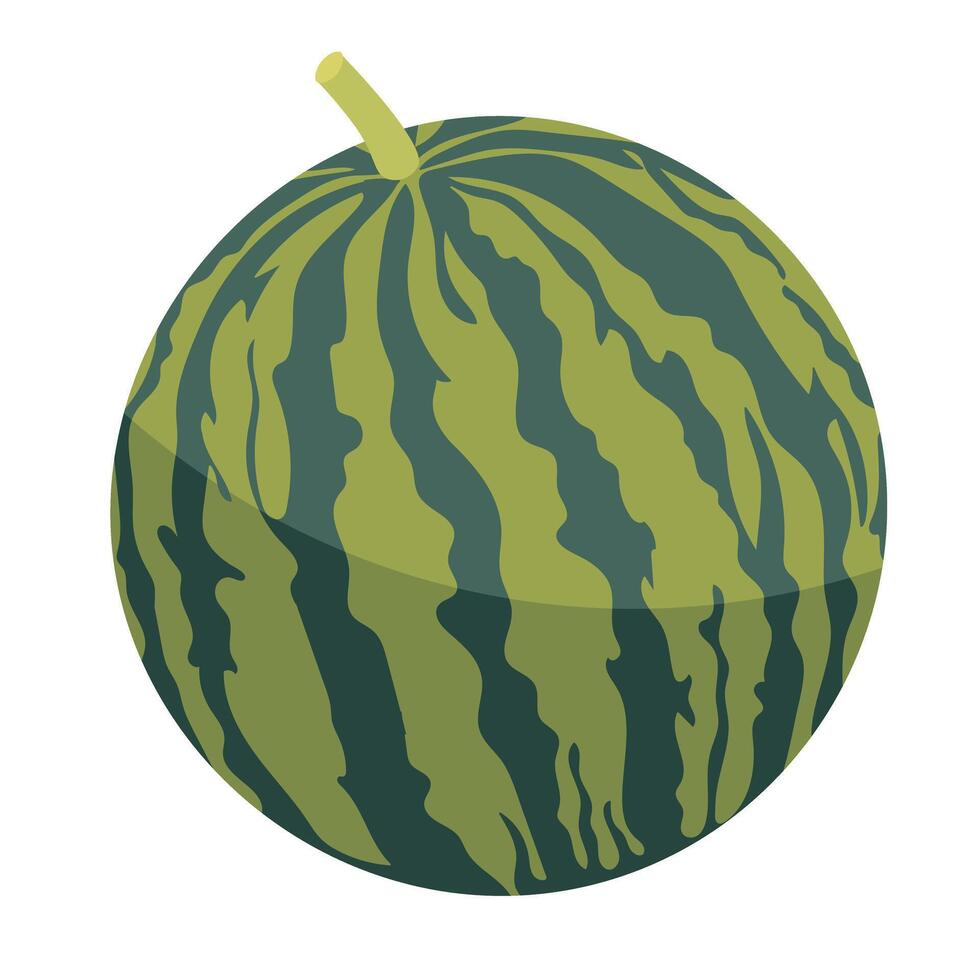 Watermelon clipart. Juicy and bright summer fruit. vector