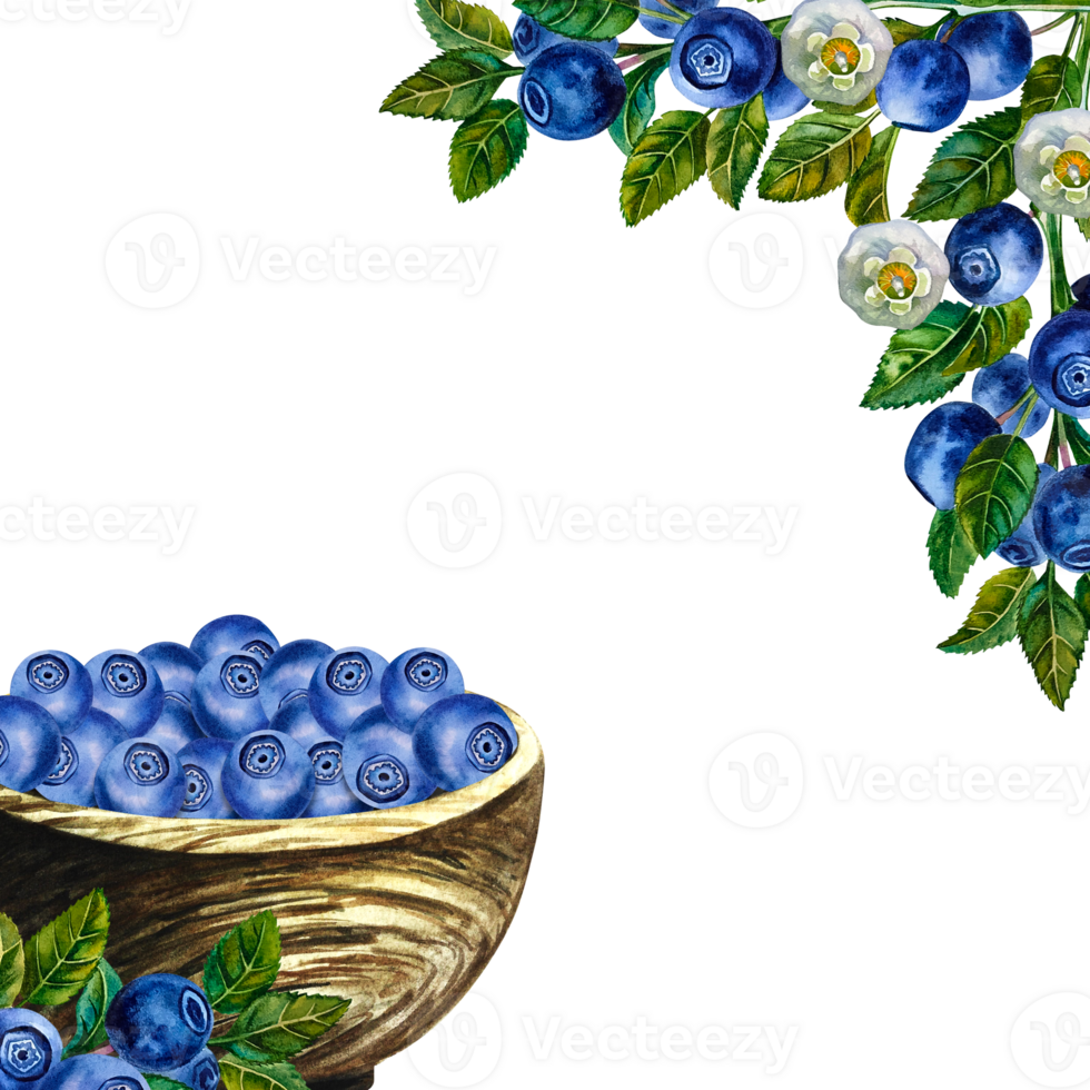 A frame with blueberries in a wooden bowl and twigs. Ripe wild berries. A hand-drawn watercolor illustration. Isolate. For packages, labels and flyers. For banners, stickers and postcards. png