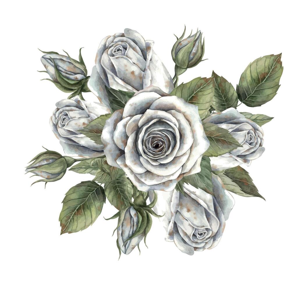 Composition of white roses with green leaves. Hand drawn watercolor illustration in botanical style. For design, decorations, cards, invitations for Halloween, wedding, Mother's Day, Valentine's Day. vector