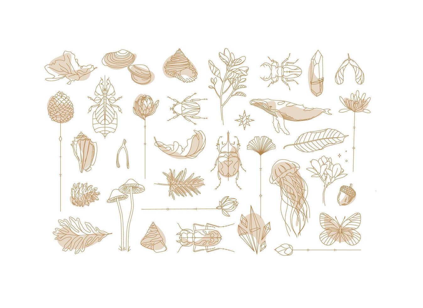 Art Deco flora and fauna collection drawing on white background vector