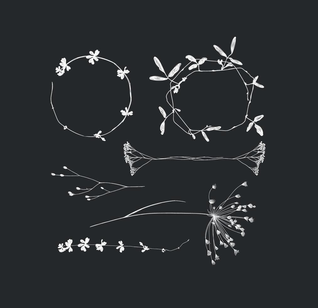 Branches leaves and flowers silhouettes set drawing on black background vector