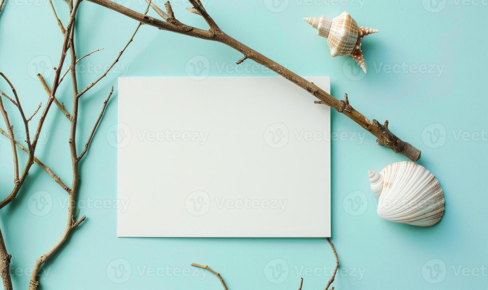 White blank card on a pastel turquoise background, with a seashell and a piece of driftwood photo
