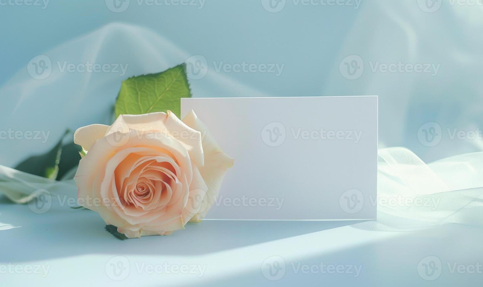 White blank card on a pastel sky blue table, with a single rose and a sheer ribbon photo