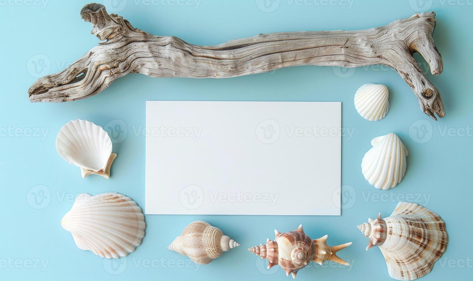 White blank card on a pastel sky blue background, with a small collection of seashells and a piece of driftwood photo
