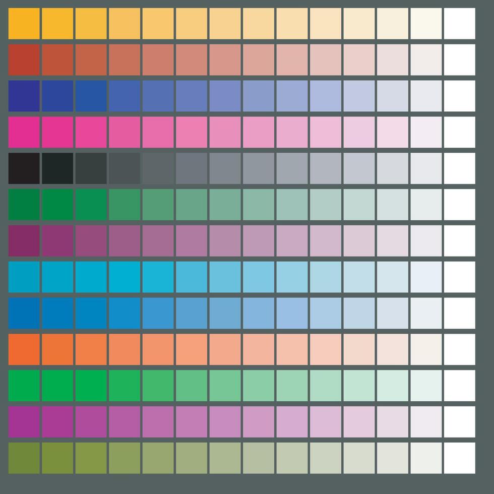 Color Pallete for Graphics Designer vector