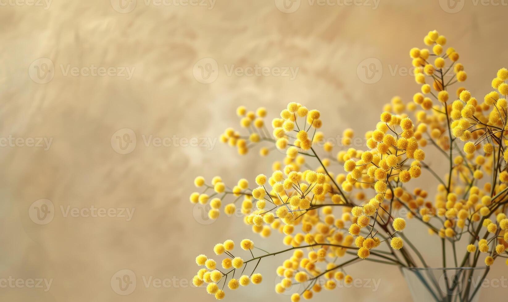 A detailed shot of Mimosa stems arranged in a vase photo
