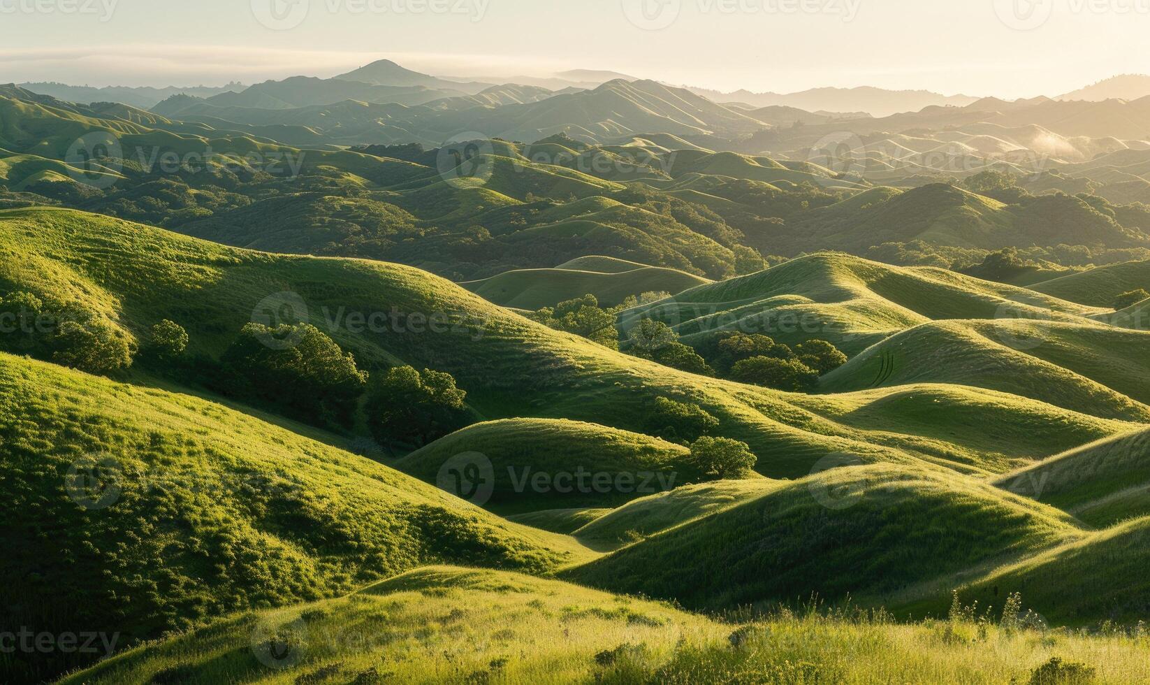 Landscape with mist over the green hills photo