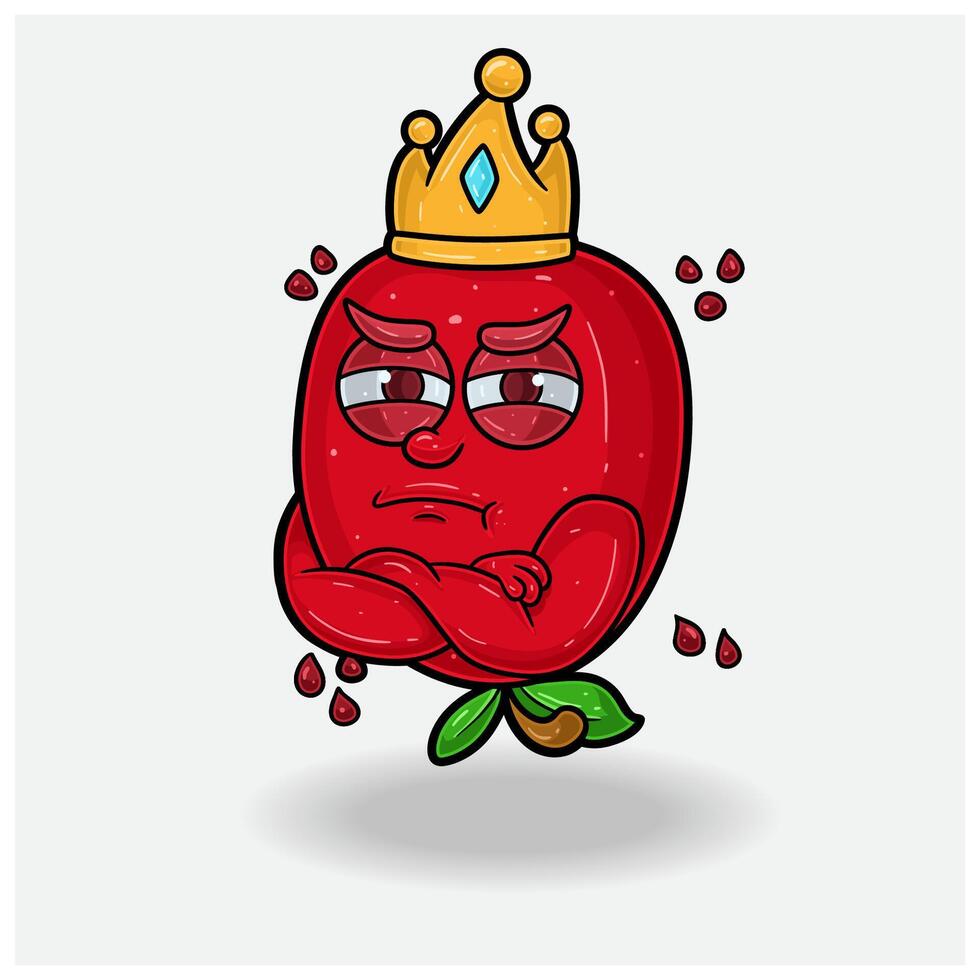 Pomegranate fruit Mascot Character Cartoon With Jealous expression. For brand, label, packaging and product. vector