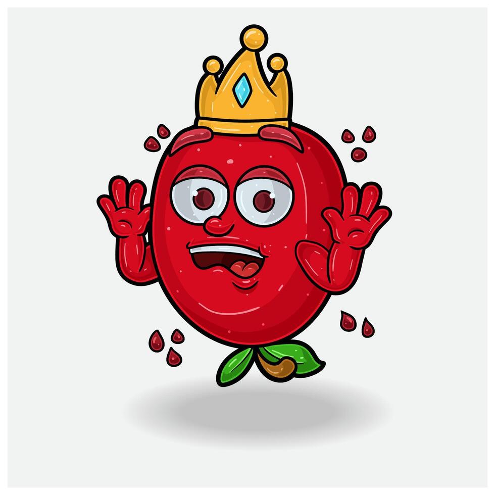 Pomegranate fruit Mascot Character Cartoon With Shocked expression. For brand, label, packaging and product. vector