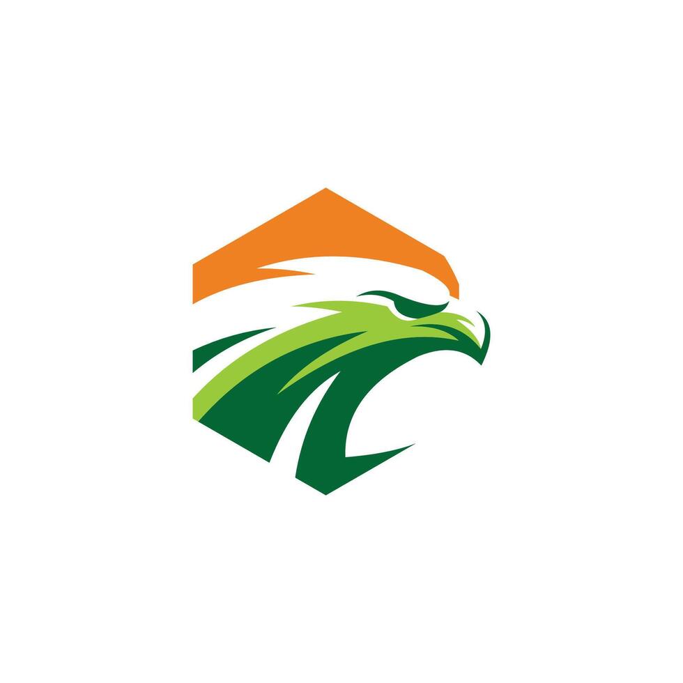 hawk and mountain logo with orange color vector