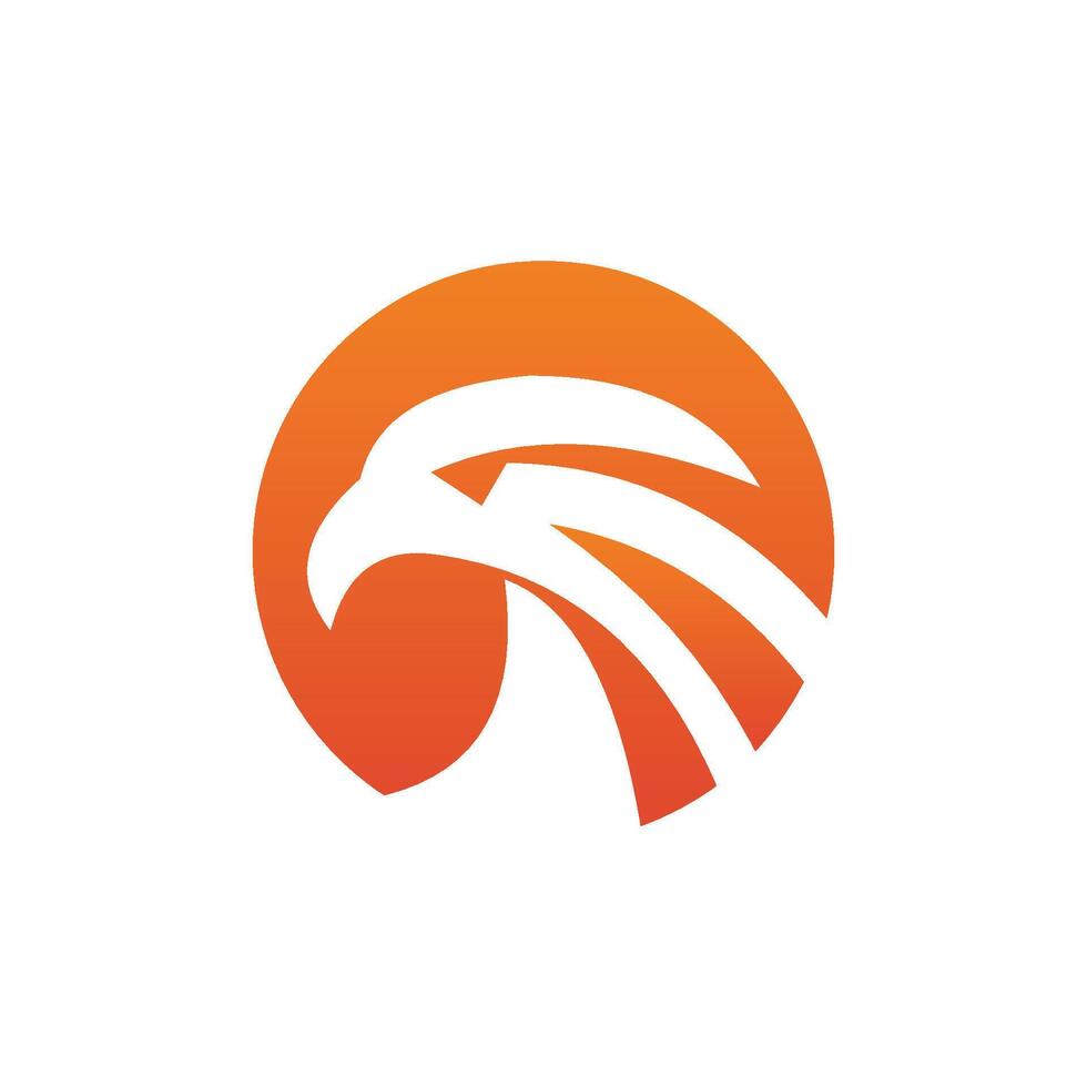 hawk in the circle logo with orange color vector