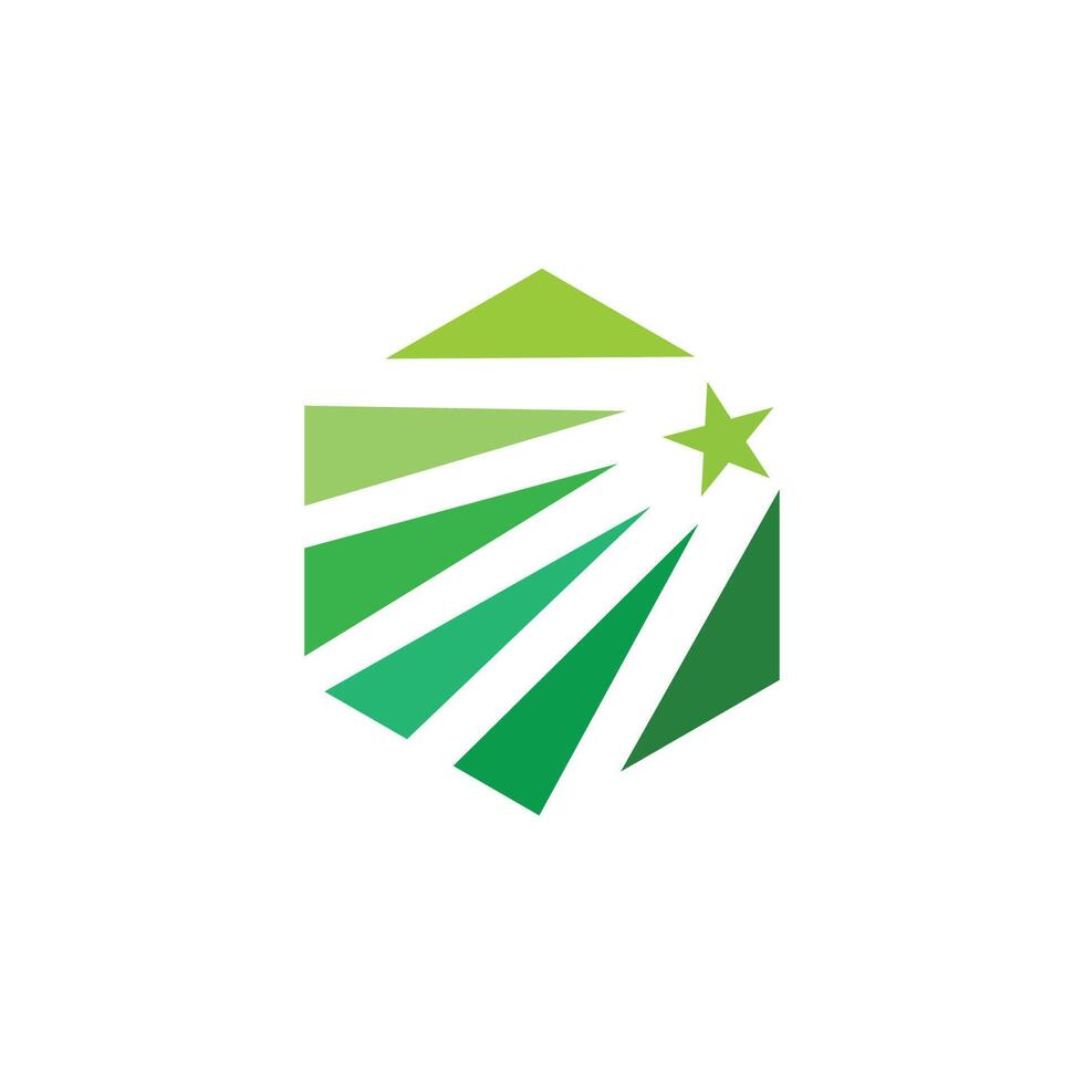 logo shining star. hexagon shaping vector