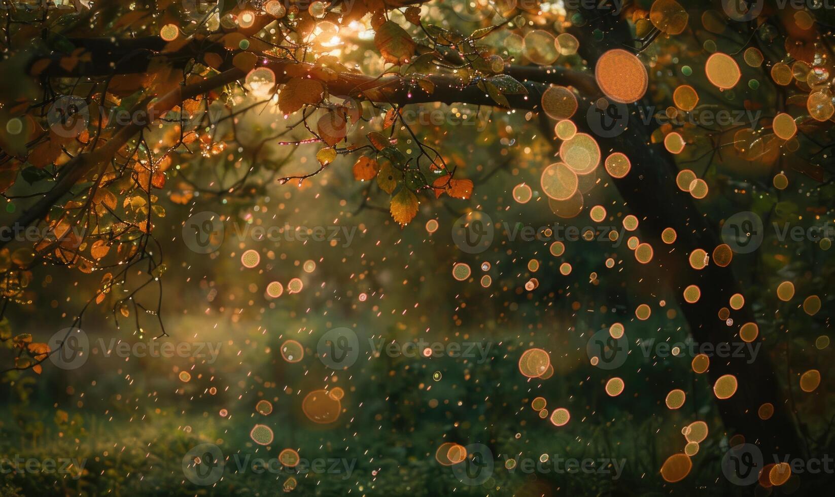 Silk trees under the rain photo