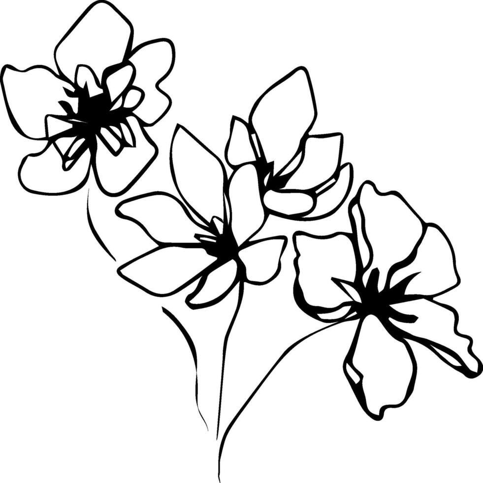 Flowers. A bouquet of flowers. vector