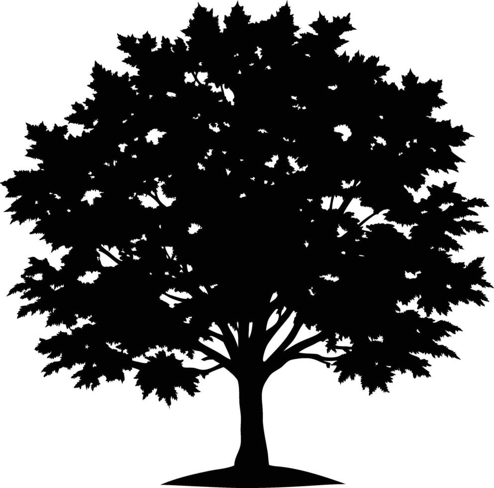 A black and white silhouette of a maple tree vector