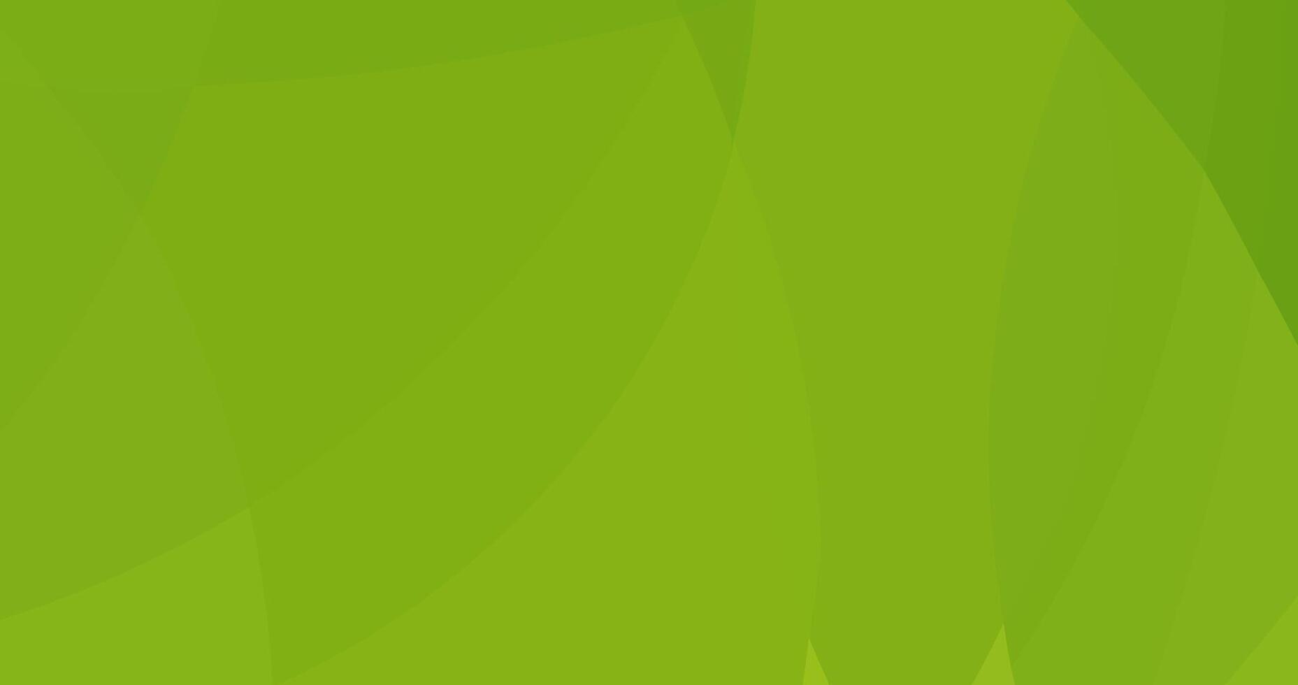 abstract green curve background for cover banner template vector