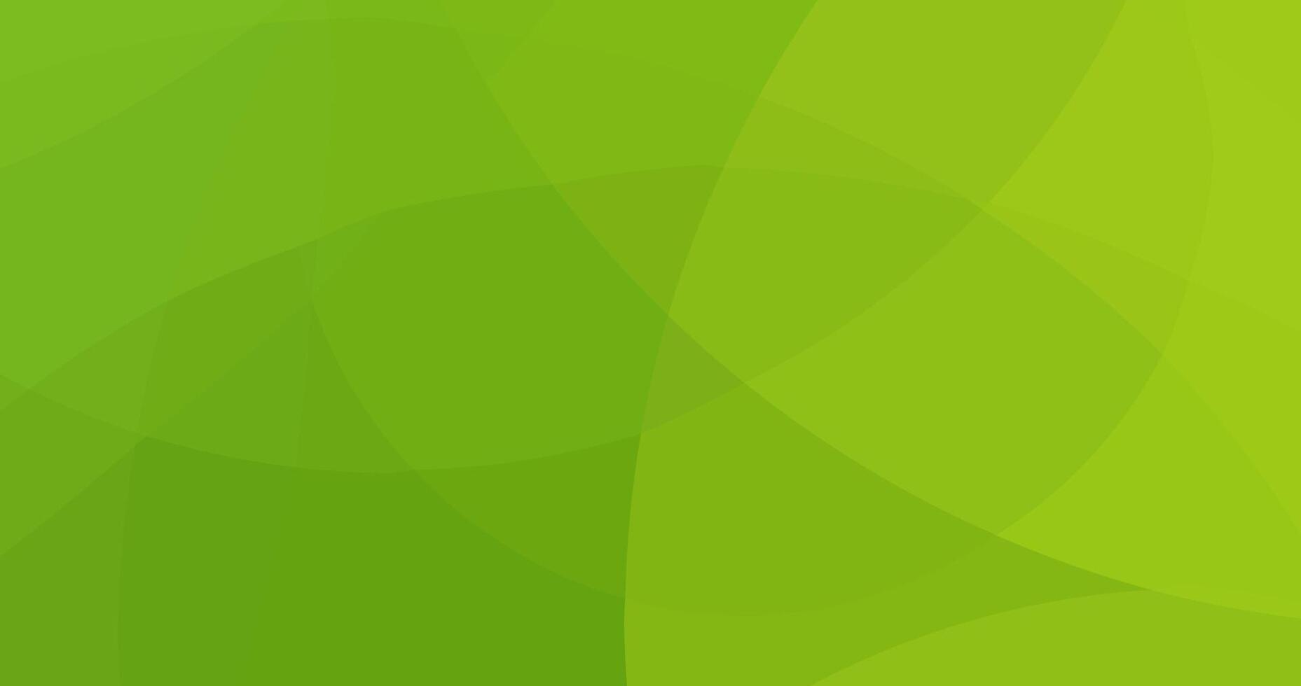 abstract green curve background for cover banner template vector