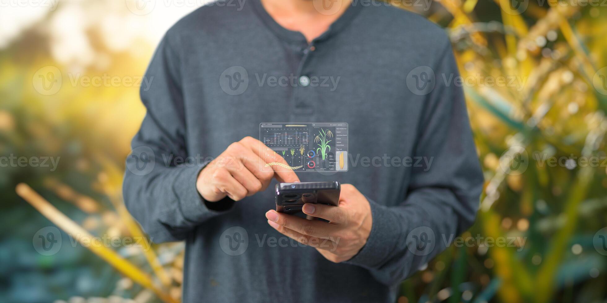 Smart Farm UI hologram system control, maintenance, displaying growth information Nutrients, fertilizers, water, insect pests of trees, plants, and vegetables, use technology in agriculture. photo