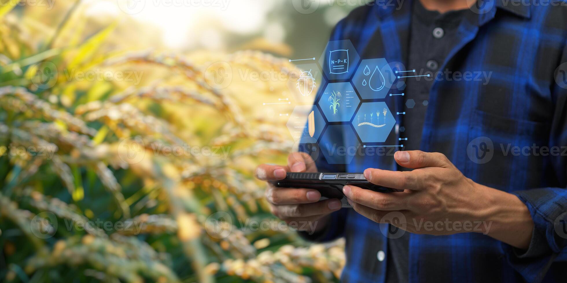 Smart Farm UI hologram system control, maintenance, displaying growth information Nutrients, fertilizers, water, insect pests of trees, plants, and vegetables, use technology in agriculture. photo