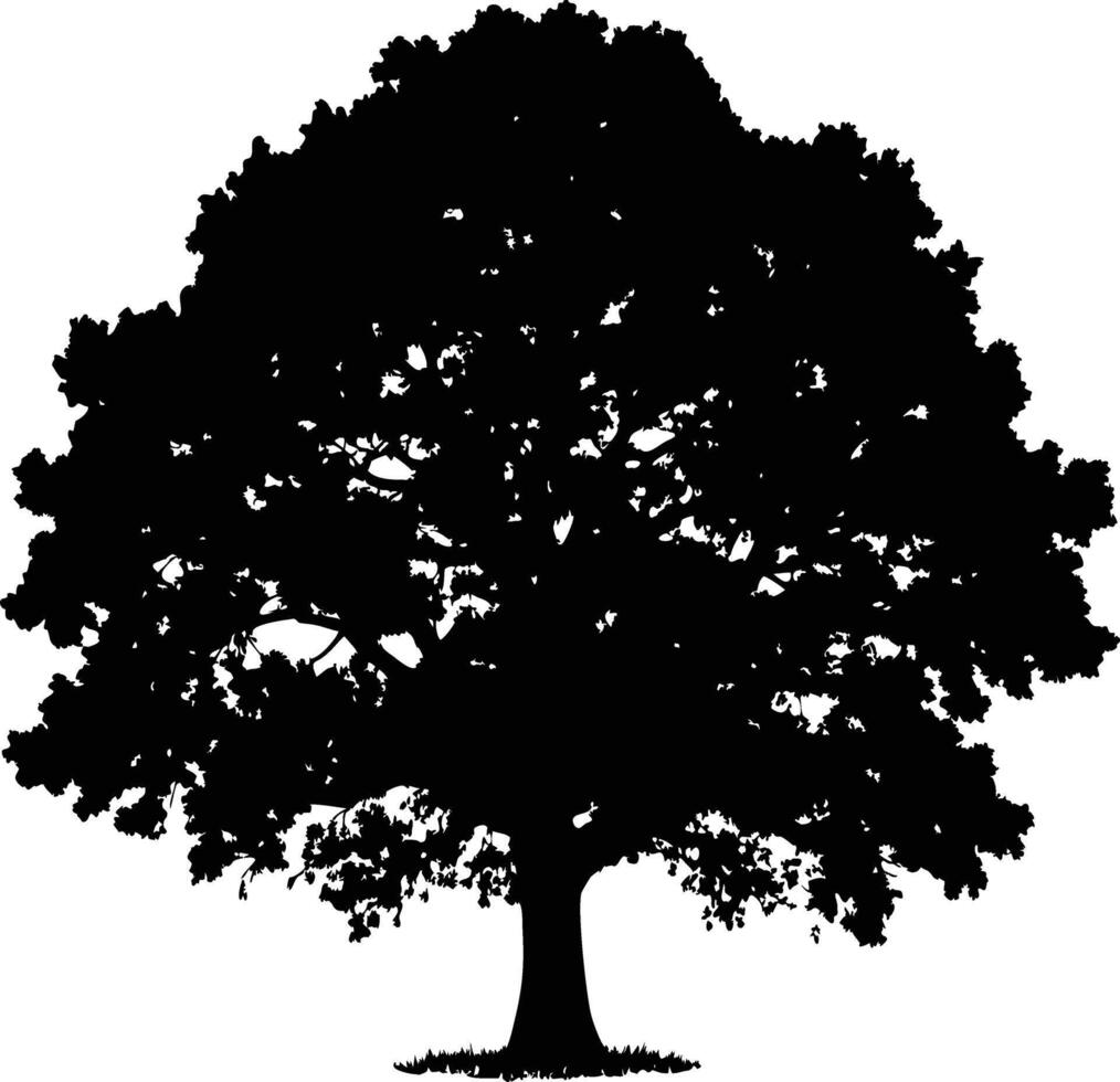 Single big Oak tree with leaves silhouette nature environment concept isolated on white background vector